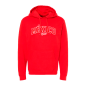 Hoodie logo México