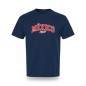 Playera hombre FlyMx logo México