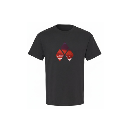 Playera hombre logo FlyMx 800m